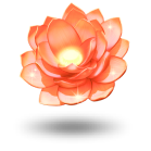 Spin Samurai: Best Online Casino | Top Online Casino for Real Money - Spinsamurai casino