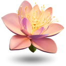 Spin Samurai: Best Online Casino | Top Online Casino for Real Money - Spinsamurai casino