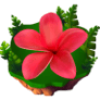 البطولة